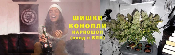 шишки Алексеевка