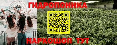 прущие крисы Славянск-на-Кубани
