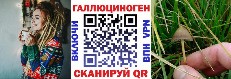 Галлюциногенные грибы Magic Shrooms  закладки  Тулун 