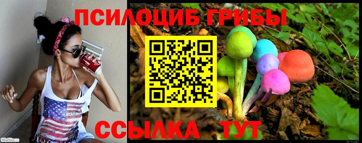 Псилоцибиновые грибы мицелий Тулун