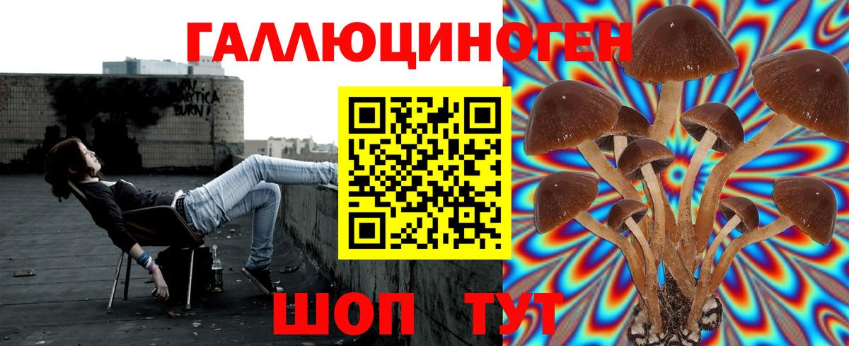 Гашиш  Вход с VPN  КОКАИН  Тулун  Каннабис  МЕФ   ЭКСТАЗИ 
